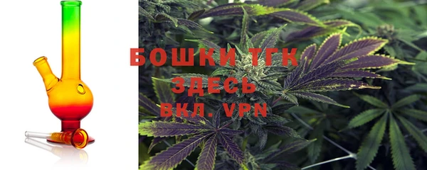 прущие крисы Мегион