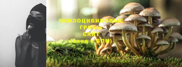 прущие крисы Мегион