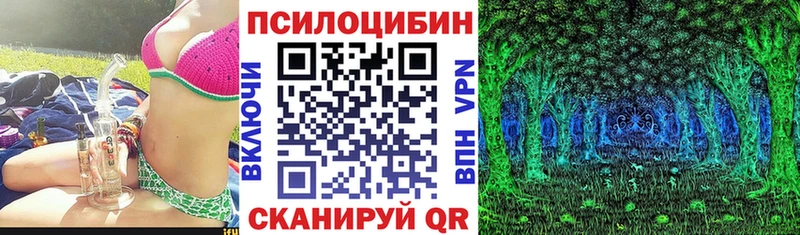 Галлюциногенные грибы Psilocybine cubensis  Усть-Кут 